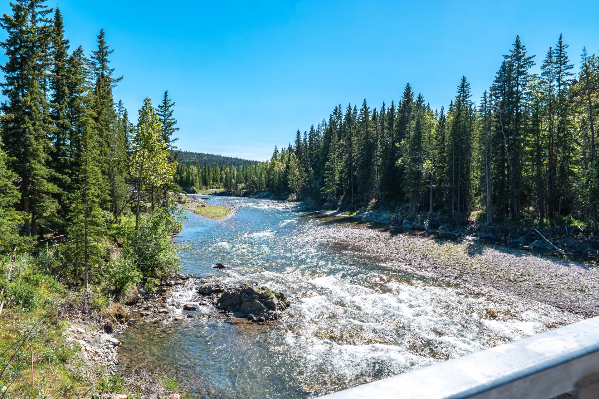 Elbow River flowing through forest near Bragg Creek Alberta